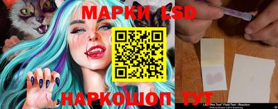 ECSTASY Камышлов