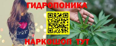 гидра Кандалакша