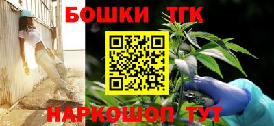 ECSTASY Камышлов