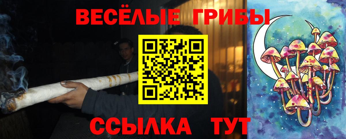 Псилоцибиновые грибы MAGIC MUSHROOMS  Галлюциногенные грибы GOLDEN TEACHER  Вход с VPN  Люберцы 
